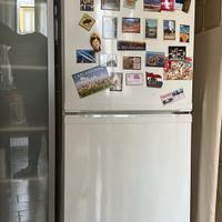 Frigorifero, libera istallazione, con vano freezer