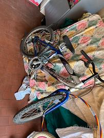 Mountain bike da bambino