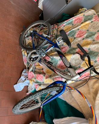 Mountain bike da bambino