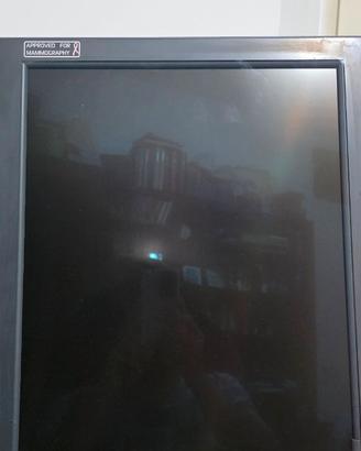 Coppia monitor medicali Barco Coronis MDMG-5121 5M
