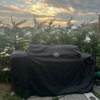 Griglia combinata (carbonella + gas)