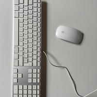 tastiera Apple usb + mouse wireless