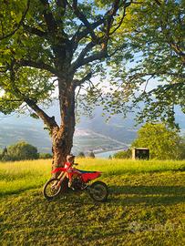 beta rr 250 2t 2015 