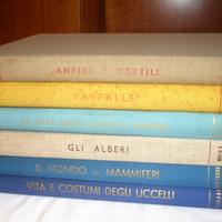 Editrice S.A.I.E dal 1957