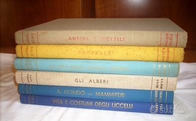 Editrice S.A.I.E dal 1957