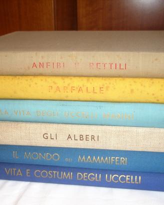 Editrice S.A.I.E dal 1957