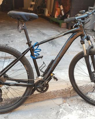 ORBEA 29