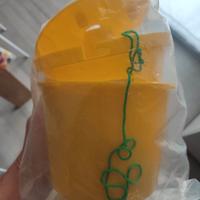 Trappola cimice japonica