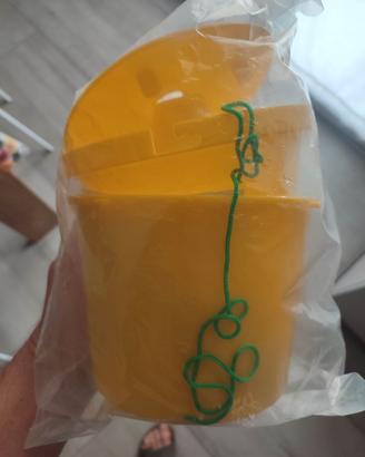 Trappola cimice japonica