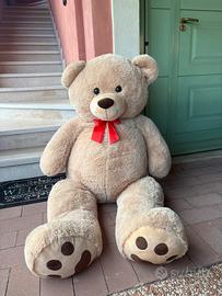 Orso Peluche