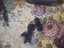 Immagine 6