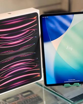 iPad Pro 12,9" 6ª Gen Cell-Usato Aziendale