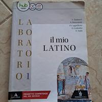 il mio latino (grammatica)