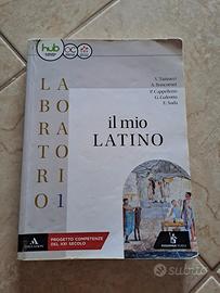 il mio latino (grammatica)