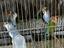 Immagine 4