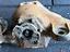 Immagine 5