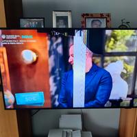 Samsung TV QLed 43" pannello rotto