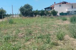 Lotti di terreno parete giugliano