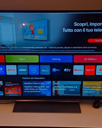 TV OledEVO LG C4 48 pollici | garanzia