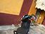 Immagine 3