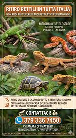 Ritiro rettili