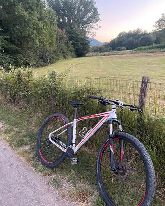 Specialized