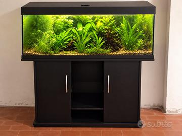 Aquario 170l con Mobile, Filtro Askoll Pratiko,CO2