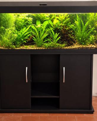 Aquario 170l con Mobile, Filtro Askoll Pratiko,CO2