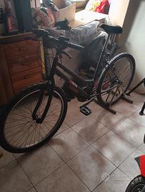 bicicletta MTB