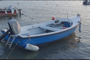 Barchino 4,60 mt con motore johnson 3.3