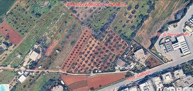Terreno Agricolo Parabita