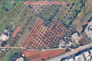 Terreno Agricolo Parabita