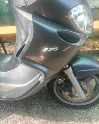 scuter Piaggio 