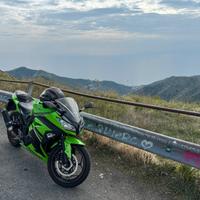 Kawasaki Ninja 300 Special Edition