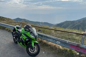 Kawasaki Ninja 300 Special Edition