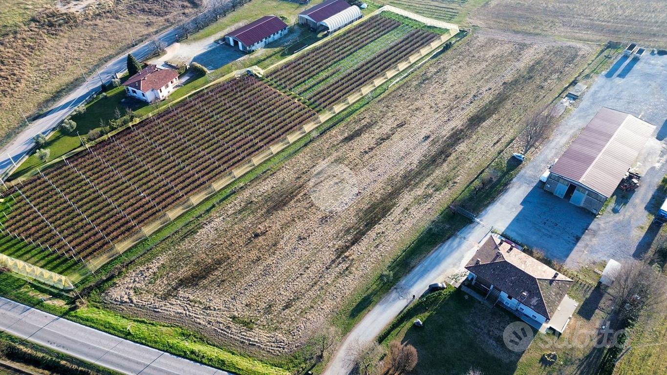 TERRENO A SOLFERINO - Vista 4