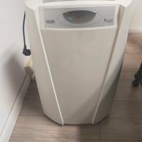 Pinguino Condizionatore 