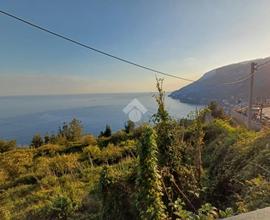 TER. AGRICOLO A MINORI