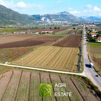 Terreno 1,2 HA con doppio fronte strada | TR462