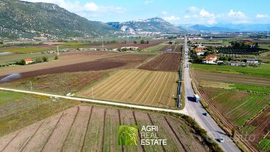 Terreno 1,2 HA con doppio fronte strada | TR462