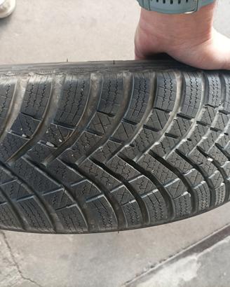gomme invernali polo