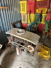 Scopatrice per olive S.E.P