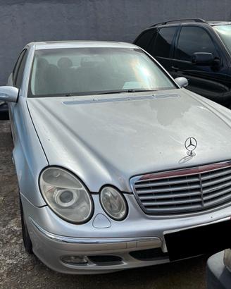 Mercedes-benz E 220 CDI cat EVO Avantgarde