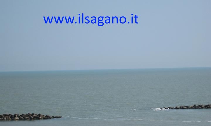 Bilocale a Lido degli Scacchi VISTA MARE