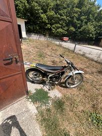 Beta rev  50