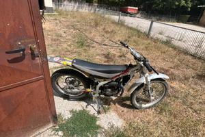 Beta rev  50