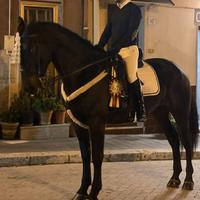 Cavalla SanFratellana