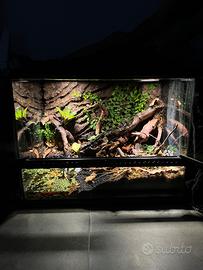 Paludario Exoterra terrario