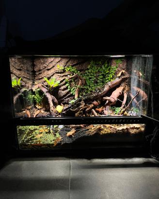 Paludario Exoterra terrario