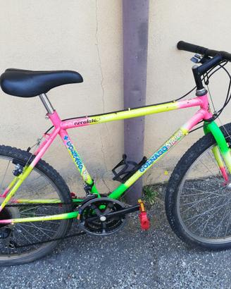 Bici mountain bike